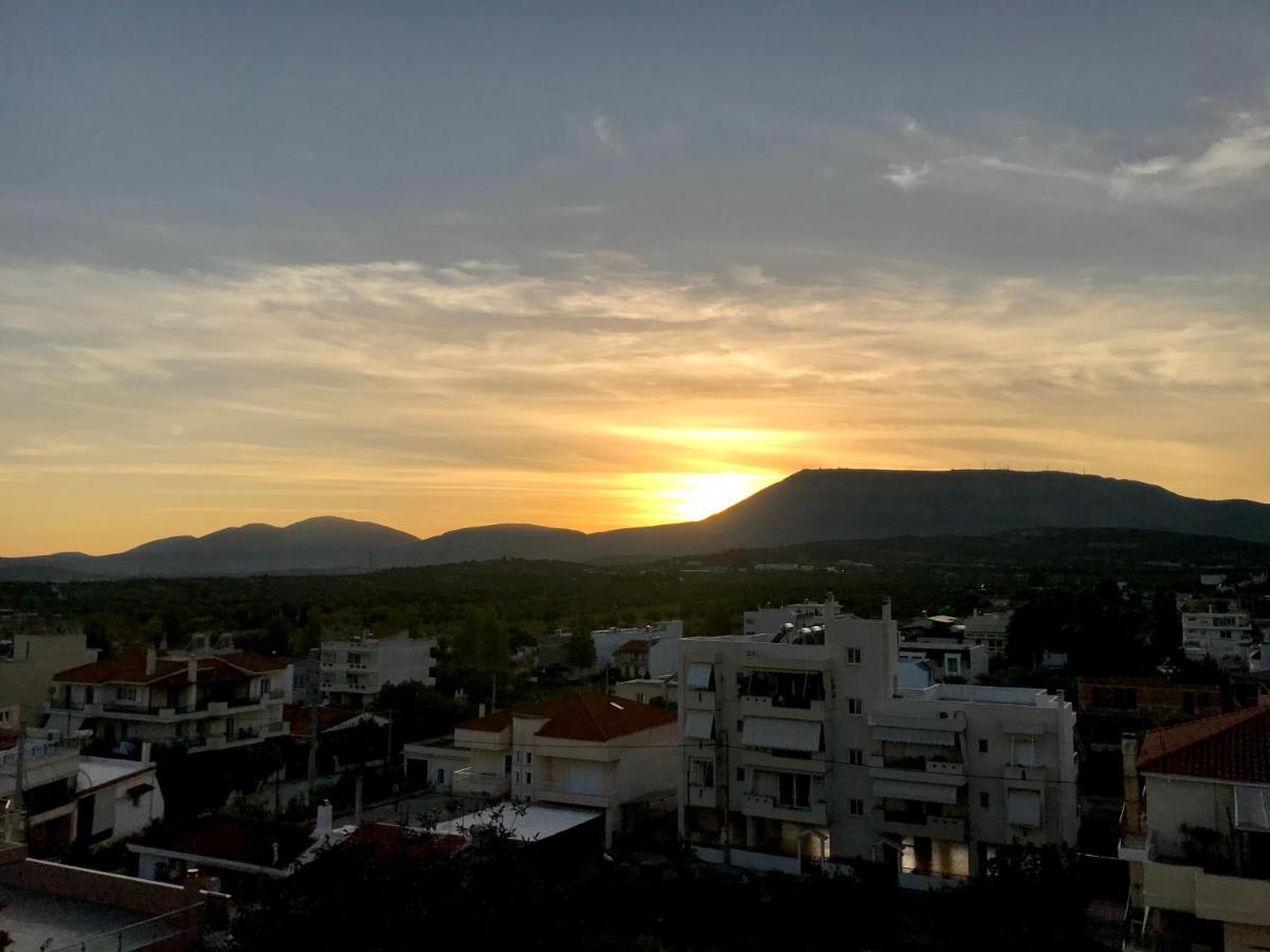 Apartment Nesto Athens Airport
