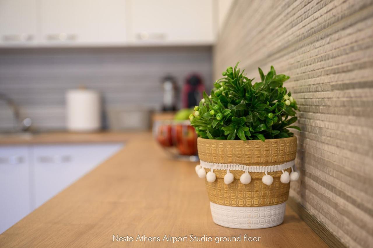 Apartment Nesto Athens Airport